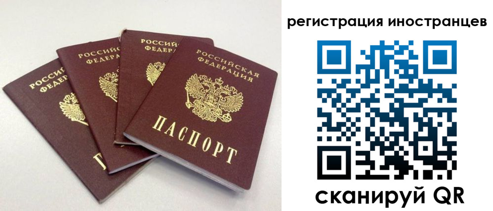 временная регистрация для школы в Стрежевом
